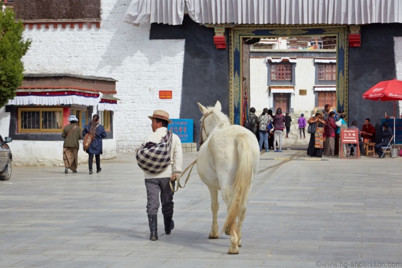 TibetNepal_MG_1579.jpg