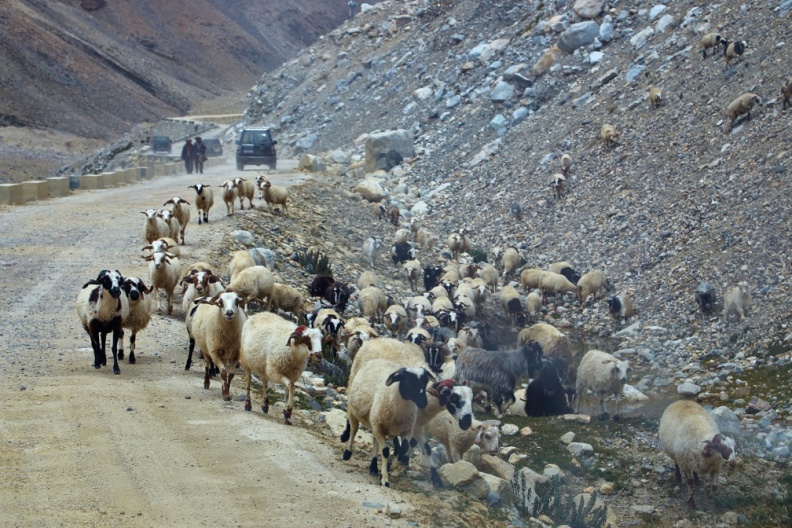 TibetNepal_MG_1973.jpg