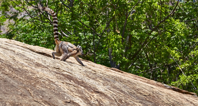 Madagaskar_MG_9819.jpg