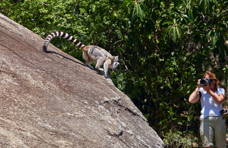Madagaskar_MG_9822.jpg