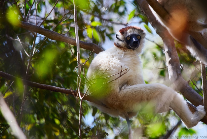 Madagaskar_MG_0141.jpg