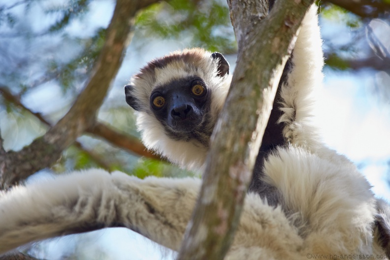 Madagaskar_MG_0153.jpg