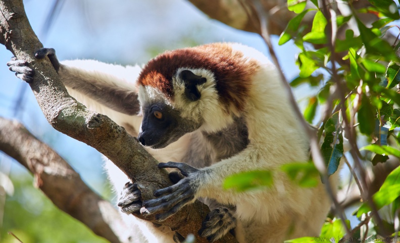 Madagaskar_MG_0150.jpg