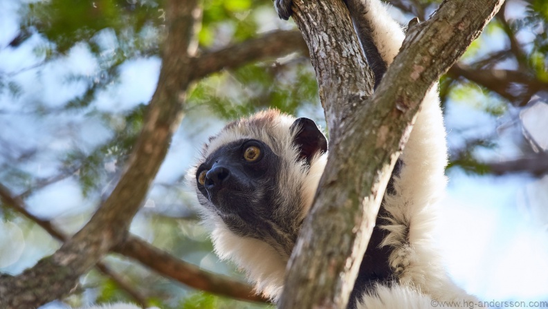 Madagaskar_MG_0154.jpg