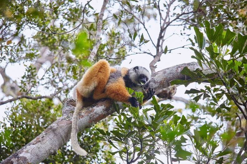 Madagaskar_MG_0686.jpg