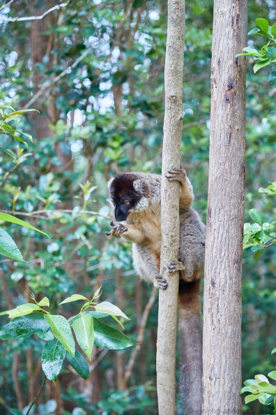 Madagaskar_MG_0836.jpg