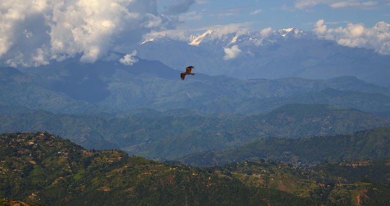 Nepal_MG_4425.jpg
