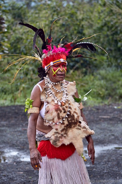 Borneo_PNG_MG_6064.jpg