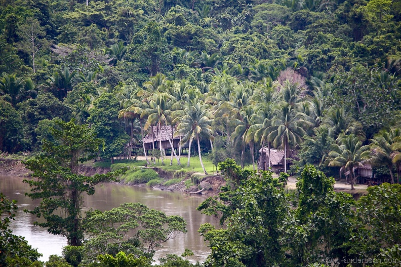 Borneo_PNG_MG_6291.jpg