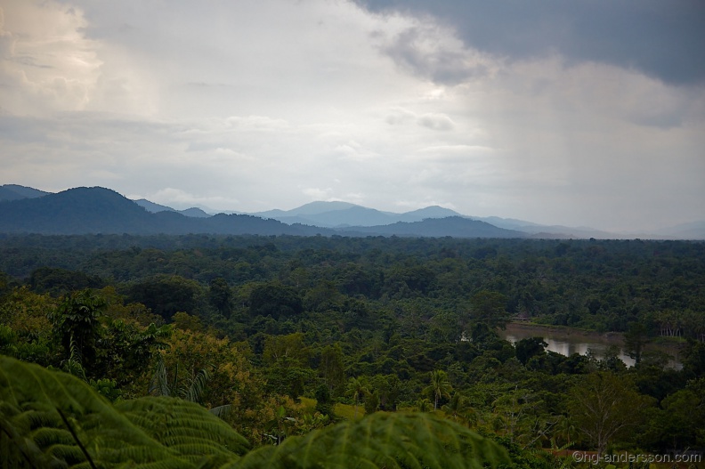 Borneo_PNG_MG_6565.jpg