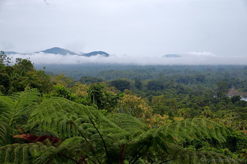 Borneo_PNG_MG_6583.jpg