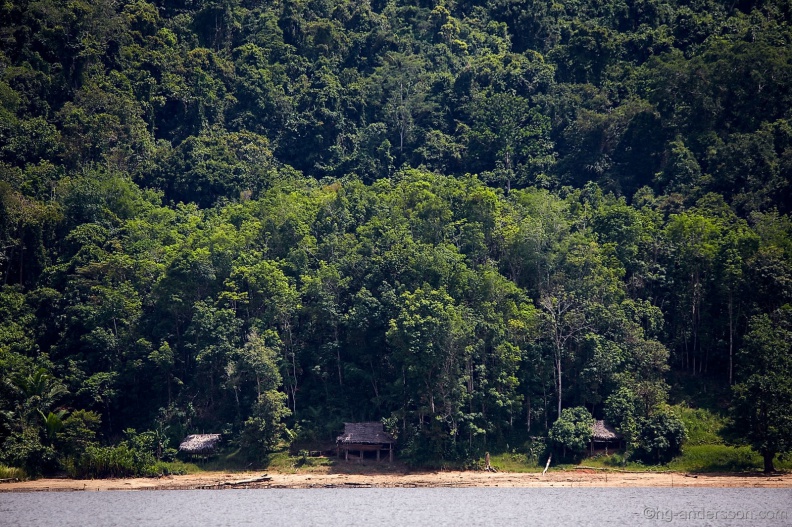 Borneo_PNG_MG_6982.jpg